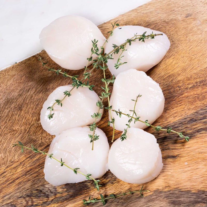 FRESH WILD SEA SCALLOPS DRY LARGE