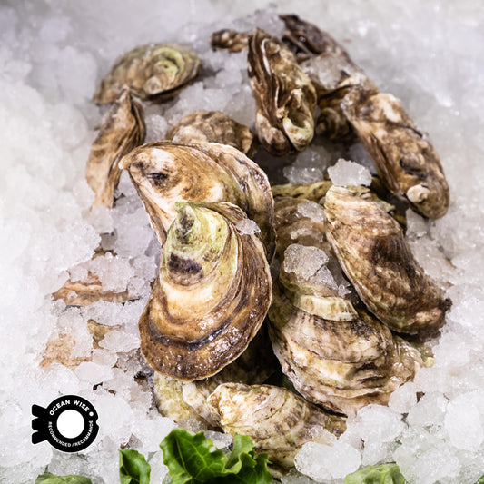 FRENCH KISS OYSTER