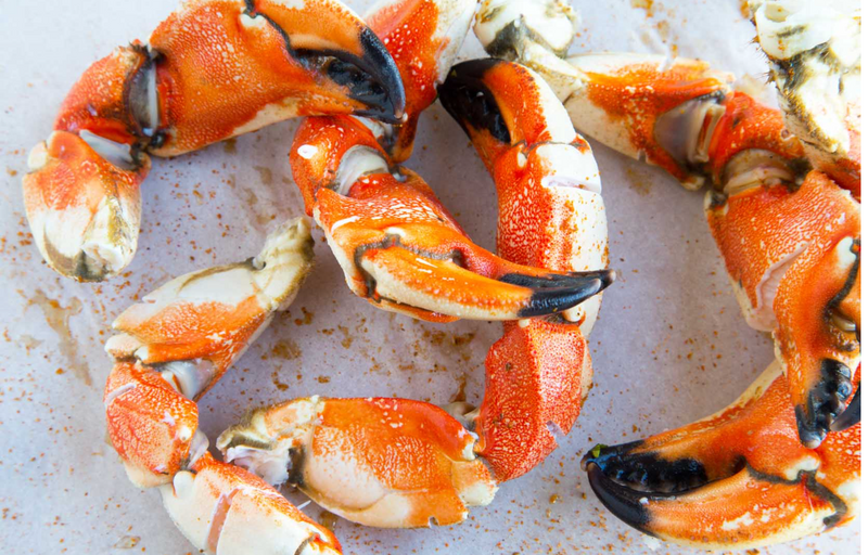 WILD JONAH CRAB CLAWS