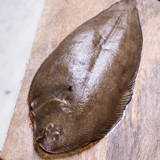 WHOLE WILD DOVER SOLE
